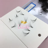 Loose premade fans Sharp stem 12D 0.03 500pcs/box