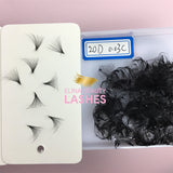 Loose premade fans Sharp stem 20D 0.03 500pcs/box