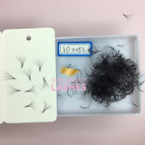 Loose premade fans Sharp stem 8D 0.05 500pcs/box