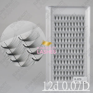 Sharp Stem Premade Fans 12D D curl 0.07/0.05